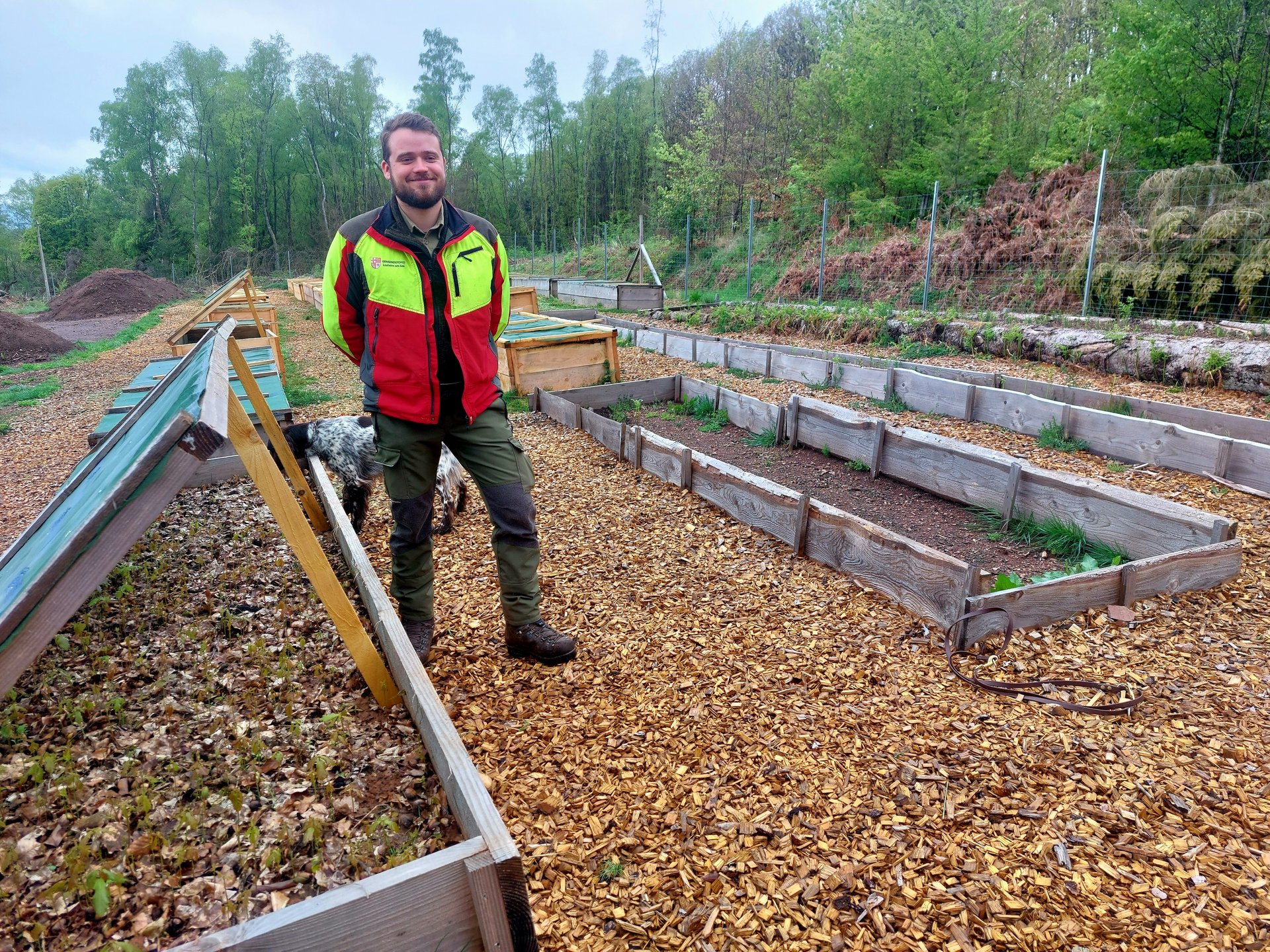 Die Gemeinde Losheim am See betreibt seit 2024 einen eigenen Pflanzgarten, in dem Baumfrüchte und Samen aus dem Losheimer Gemeindewald in gesicherten Beeten zu Baumsetzlingen gezüchtet werden. Foto: M. Priesnitz